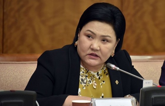 Зээлгүй ахмадад зориулсан шийдэл гаргахыг Байнгын хорооноос үүрэгдэв