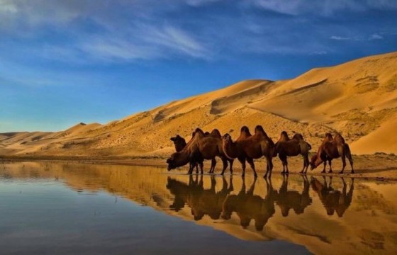 Говийн бүс нутгийн өмнөд хэсгээр 13-18 градус дулаан  байна.  