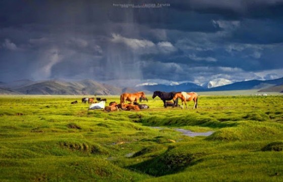 Төвийн аймгуудын нутгийн баруун хэсгээр дуу цахилгаантай аадар бороотой