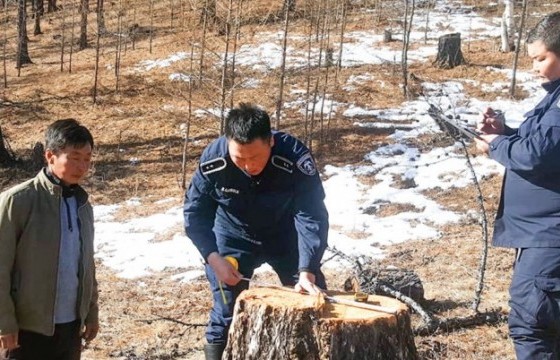 Амрах эрхгүй, хоймор нутгийн хамгаалагч