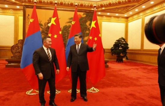 Ирэх сарын 6-нд Замын-Үүд дэх бүсэд 30 мянган хонь хүлээлгэн өгнө