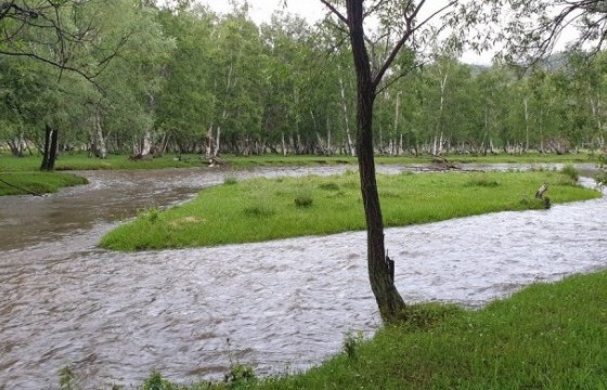 Сураггүй алга болсон 41 настай эрэгтэйн цогцсыг олжээ