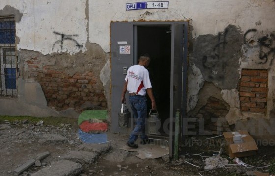 Балгас дотор амьдрах бяцхан үрс