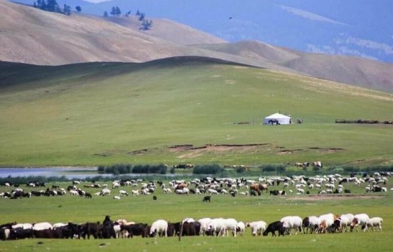 “Хониндоо явсан хүүхэд хүн алчихсан гэхээр гайхаад байна”