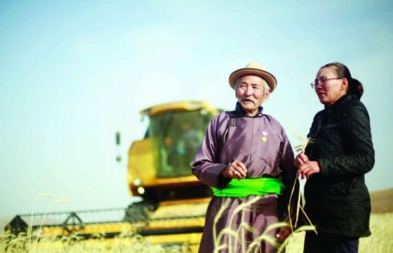 Атрын гурван аяныг үзсэн буурал тариаланч Д.Батаагийнх