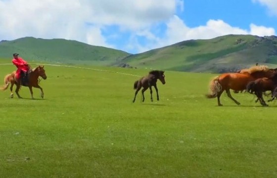 Ургах нарыг уургалсан Тольтын голынхон