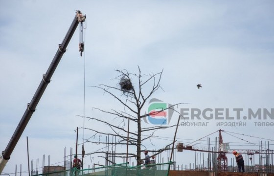 ХАБ-аа хаясан барилга дээр хүний амь эрсдэхэд бэлэн байна