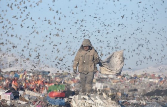 ФОТО: Амь зуух тэмцэл буюу хогоор хооллогсод