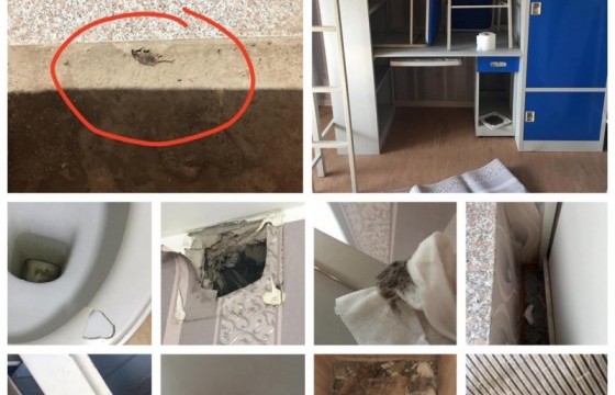 Тусгаарлах байрны таагүй зургуудыг тоймлож байна