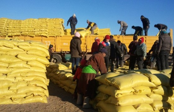 Өвс, тэжээлийн экспортыг хязгаарлалаа