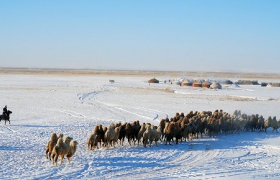 Зургаан аймагт зудын эрсдлийн үнэлгээ хийхээр төлөвлөжээ