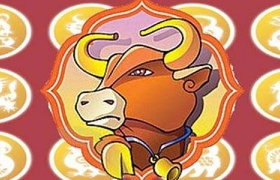 Тэргүүн дагуул одтой, хөхөгчин үхэр өдөр