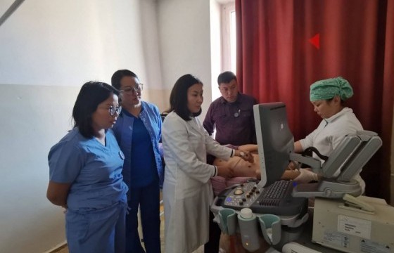 Зүрхний гажгийн мэргэжлийн эмч нар орон нутгийн эмнэлэгүүдэд ажиллаа