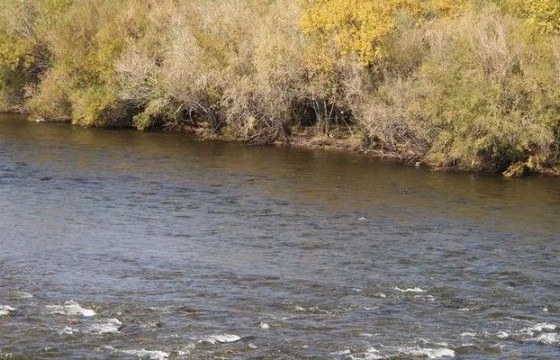 70 настай эмэгтэй сураггүй алга болжээ