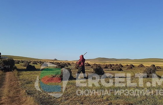 Зүүн аймгуудад хадлангийн гарц муу байгаа тул  өвс, тэжээл үнэд орох нь 