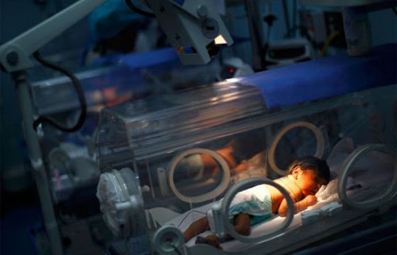 Дутуу төрсөн нярайгаа хаясан эмэгтэйг нэг хоногийн дараа олжээ