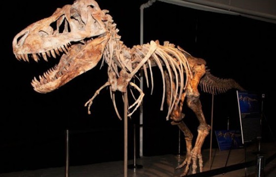 Дэлхийд өнөөдөр 