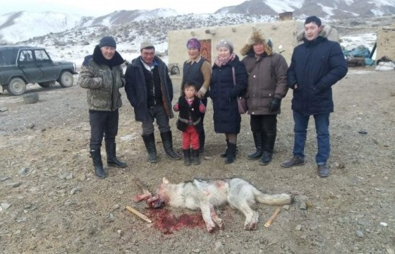 Икей Серикбол: Эхнэр маань чононы духан дундуур ганц л удаа цохиж, ухаан алдуулсан 