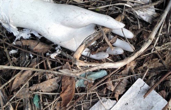 Өөрийгөө (чин үнэнчээр) хайрлах нь 