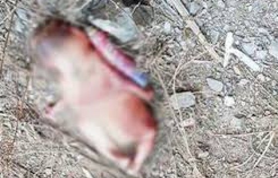 Дөнгөж төрсөн нярайг даавуунд боож, уутанд хийгээд хаяжээ 