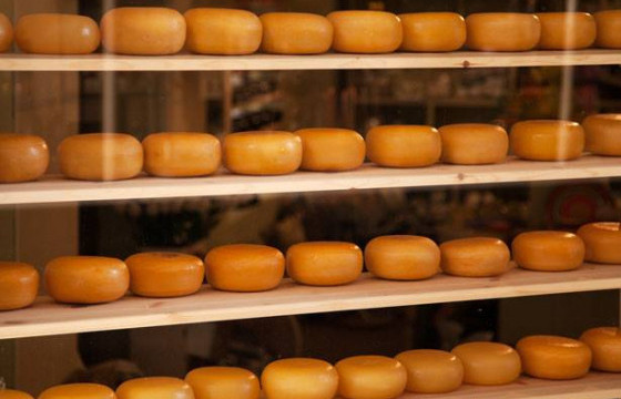 Эх орондоо үйлдвэрлэв: Европ стандартын “Хустай гоуда” хатуу бяслаг