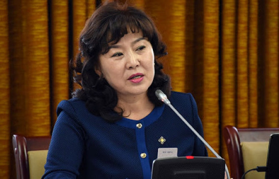 Жуулчдаа “сэгсэрнэ” хэмээн ярьж, бодож яваа сайдтай улсын аялал жуулчлал хөгжих үү