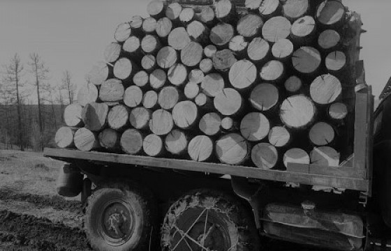  ХАВТАСТ ХЭРЭГ: Модны жолоочоос 200 мянган төгрөгийн хахууль аваад, 12 сая төгрөгөөр торгуулсан нь