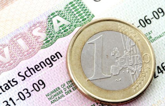 Ижил хүйстэн гэж виз авахад зуучилдаг  гэмт хэргийн сүлжээг илрүүлжээ 