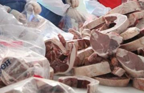 Нийслэлчүүдийн хэрэгцээнд энэ жил 20 мянган тонн мах нөөцөлнө