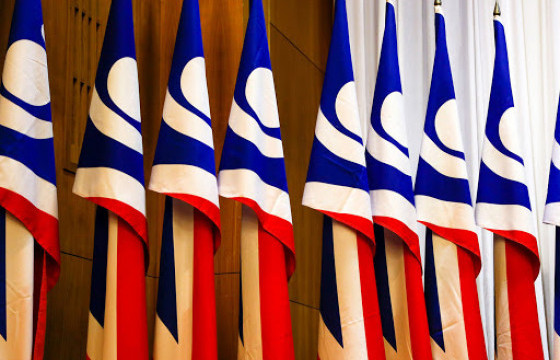 Ардчилсан намынхан даргаа сонгохгүй