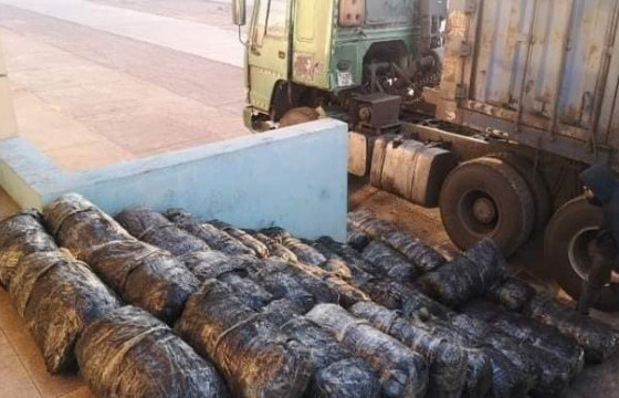 Улсын хилээр нүүрсээр далдлан 919 кг мана чулуу, 600 кг ховор ургамал гаргахыг завджээ