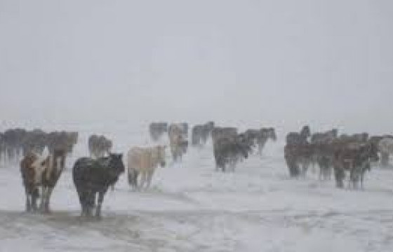 ЦАГ АГААР: Цасан шуурга шуурна