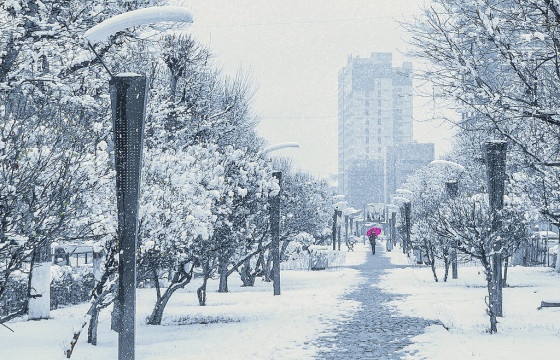 Улаанбаатарт цас орно