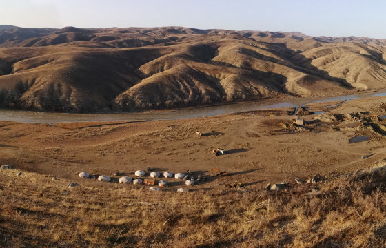 Хөл хориогоор далимдуулж, хууль бусаар алт олборлож байжээ