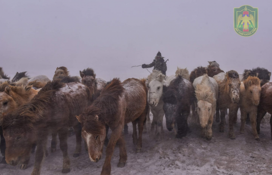 Хилчид шуурганд төөрсөн иргэнийг аварлаа 