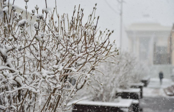 ЦАГ АГААР: Нутгийн зүүн өмнөд хэсгээр цас орж, зөөлөн цасан шуурга шуурна