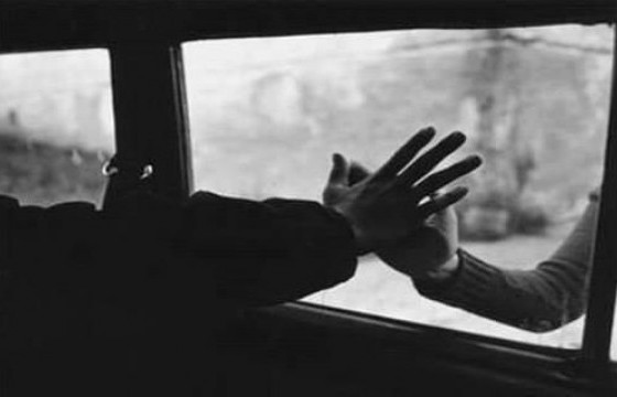 ТАХЛЫН ҮЕИЙН ДУРЛАЛЫН ТҮҮХҮҮД