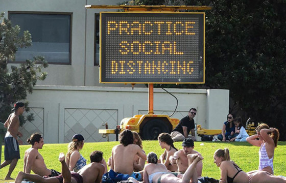 Коронавирус болон хөл хорионы талаарх хөгжилтэй нийтлэлүүд