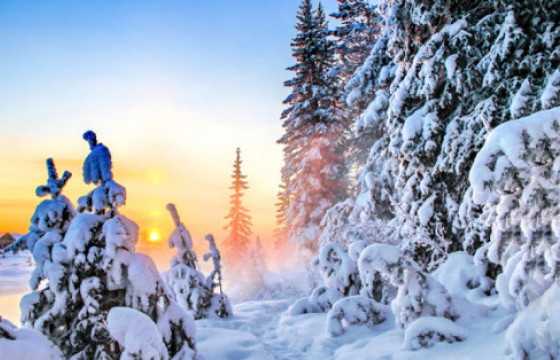 Ойрын хоногуудад ихэнх нутгаар хүйтэн байна