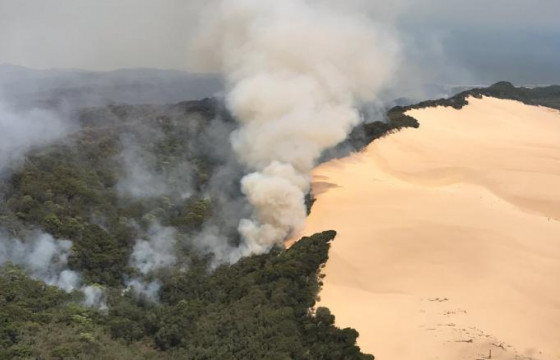 Дэлхийн хамгийн том элсэн арал шатаж байна