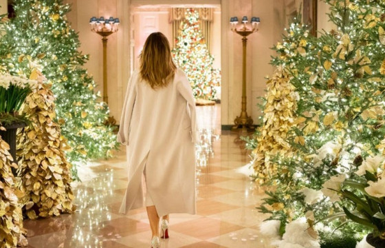 Цагаан ордны шинэ жилийн чимэглэлийн ТҮҮХҮҮД