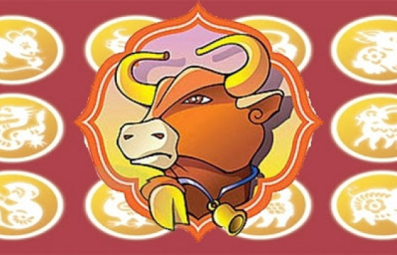 ЗУРХАЙ: Эл өдөр тахиа, могой жилтнээ аливаа үйлийг хийхэд эерэг сайн