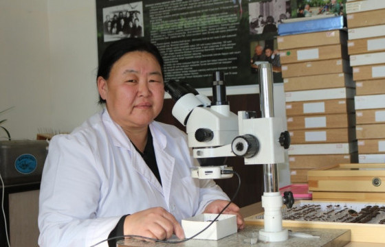 ШАВЬЖ СУДЛААЧ Ч.ГАНТИГМАА:ЭРВЭЭХЭЙ өвлийг өнтэй давах эсэх нь ШОРГООЛЖТОЙ холбоотой байдаг