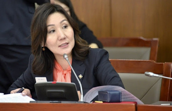 М.Оюунчимэг: Монголын төрд хүний эрхийн хамгаалалт хангалтгүй байна