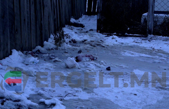 “Миний хашаа л цэвэрхэн байвал бусад нь яах вэ” ба ГУДАМЖИНД ЯЛГАДАС, УГААДСАА АСГАГЧИД