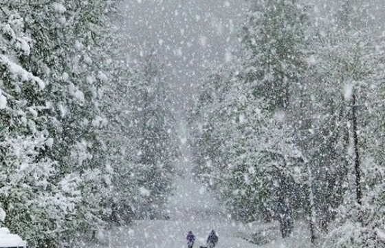 Өвөө, Цээнээ, нутаг бид дөрөв