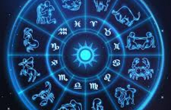 ЗУРХАЙ: Бар, нохой жилтнээ аливаа үйлийг хийхэд эерэг сайн