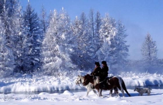 Жавар тас няс хийн тачигнах МОНГОЛЫН ТАЛ НУТАГТ...