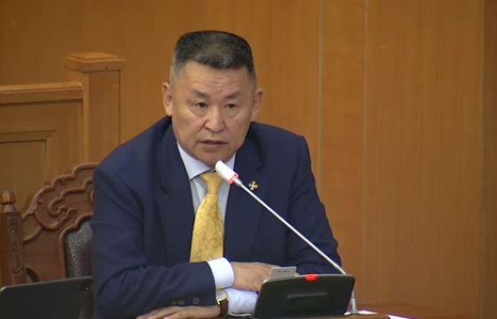 А.Адьшаа: Ерөнхийлөгчийн бүрэн эрхэд халдсан хууль батлах гэж байна