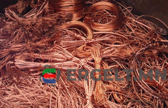 Эдийн засгийн хүндрэлийг давах гарц ЗЭС болж чадах уу